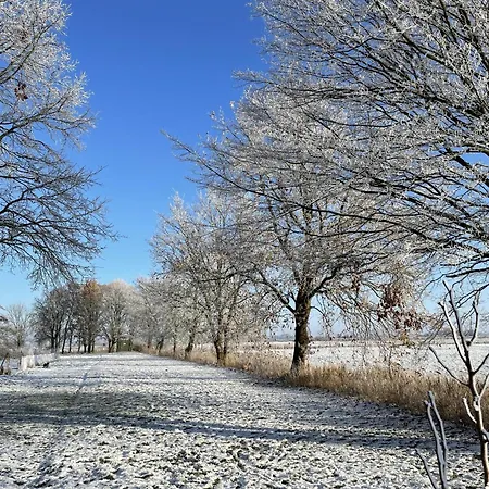 In't Noord Koje توسينس